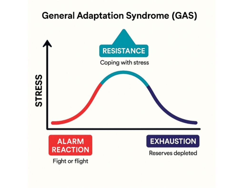 General Adaptation Syndrome: Class 12th Psychology, CUET UG